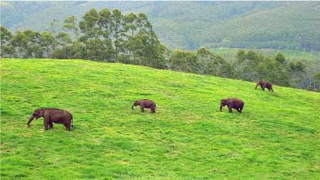 Nature-Reserves-in-India