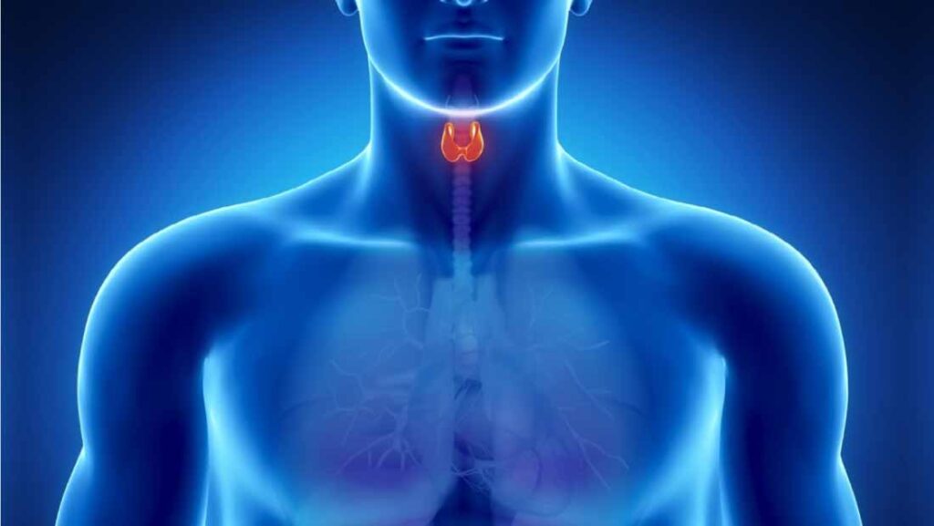 Hyperthyroidism Symptoms and Treatment